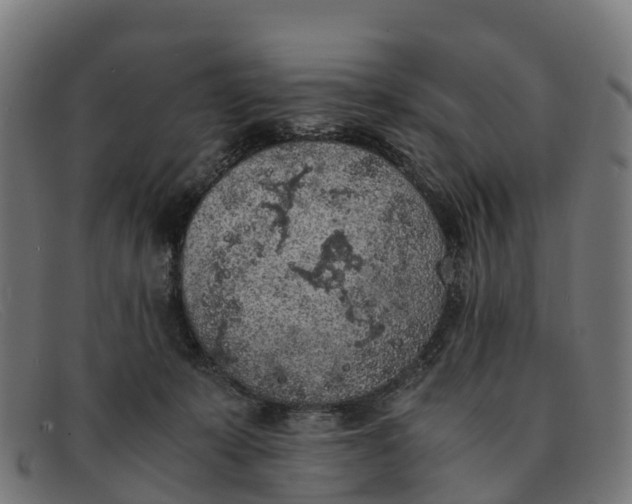 X0000091650319200709131455