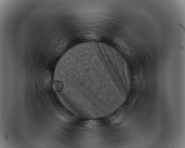 X0000091650320200709131455