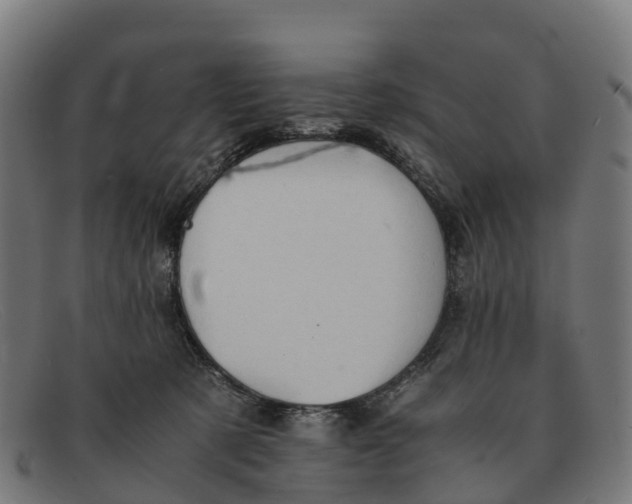 X0000091650321200709131455