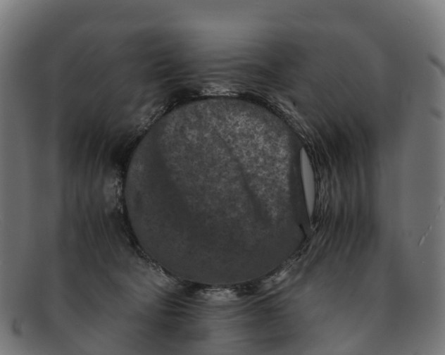 X0000091650322200709131455