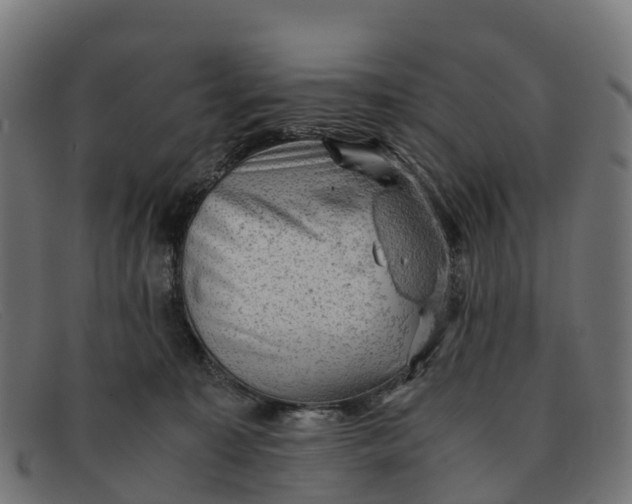 X0000091650323200709131455