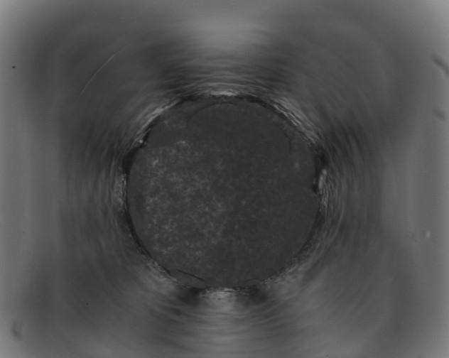 X0000091650325200709131455