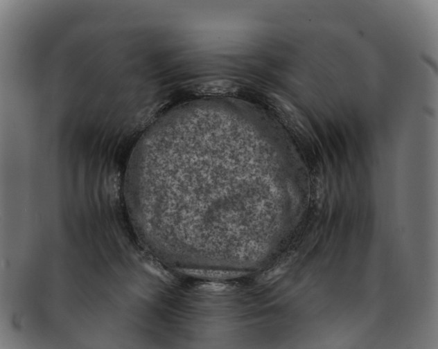 X0000091650326200709131455