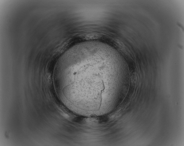 X0000091650327200709131455