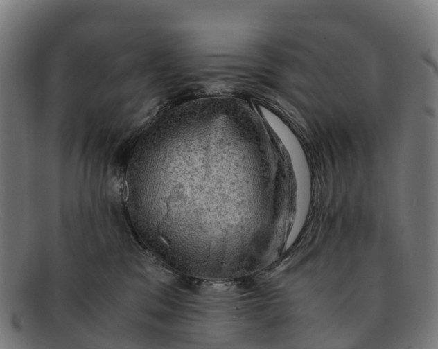 X0000091650329200709131455