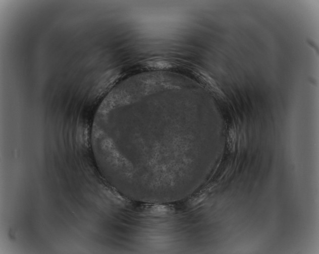 X0000091650330200709131455