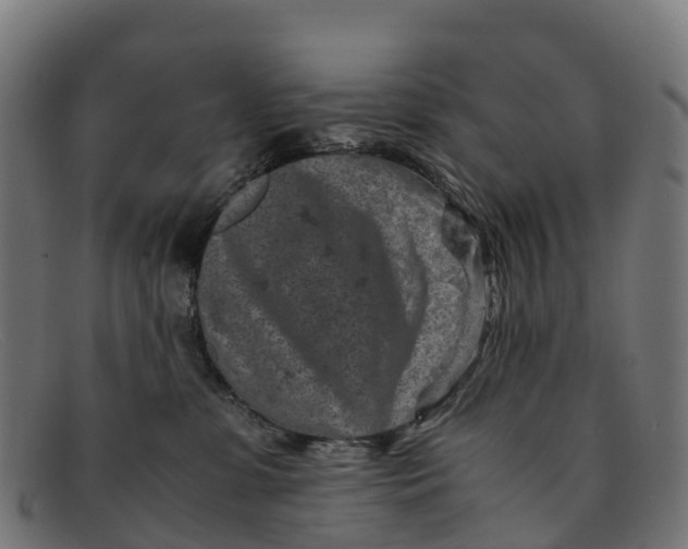 X0000091650331200709131455