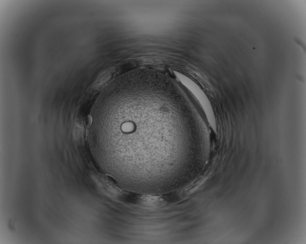 X0000091650333200709131455