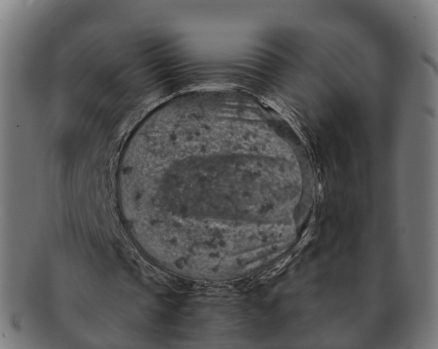 X0000091650337200709131454