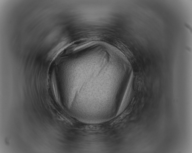 X0000091650338200709131454