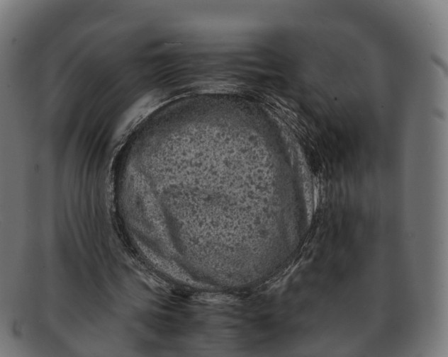 X0000091650339200709131454