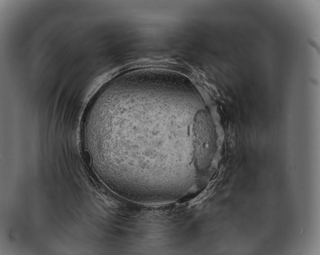 X0000091650340200709131454