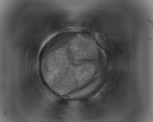 X0000091650342200709131455