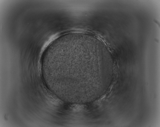 X0000091650343200709131455