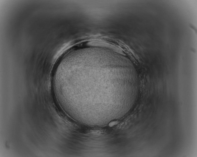 X0000091650344200709131455