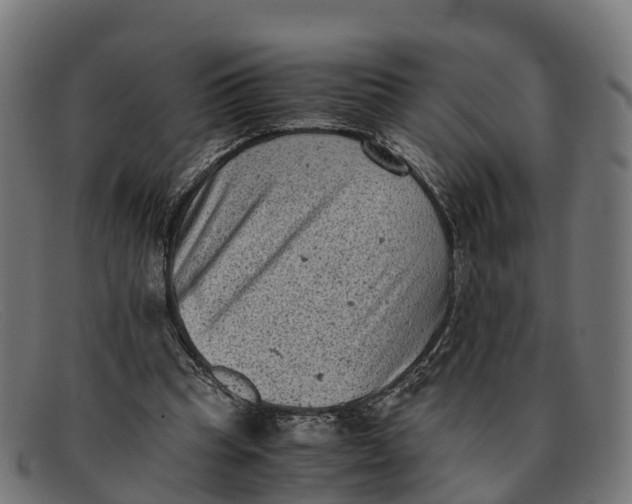 X0000091650345200709131455