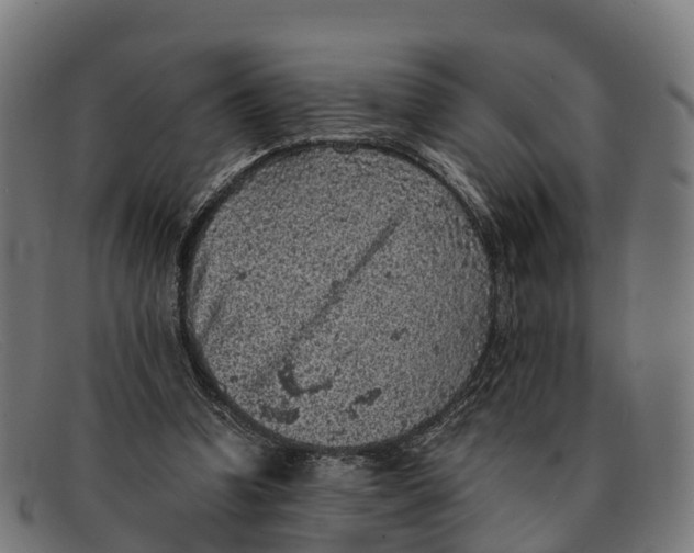 X0000091650346200709131455