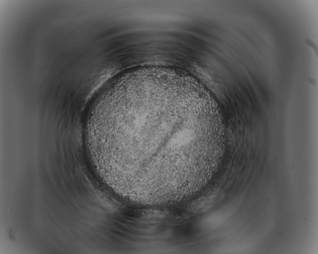 X0000091650347200709131455