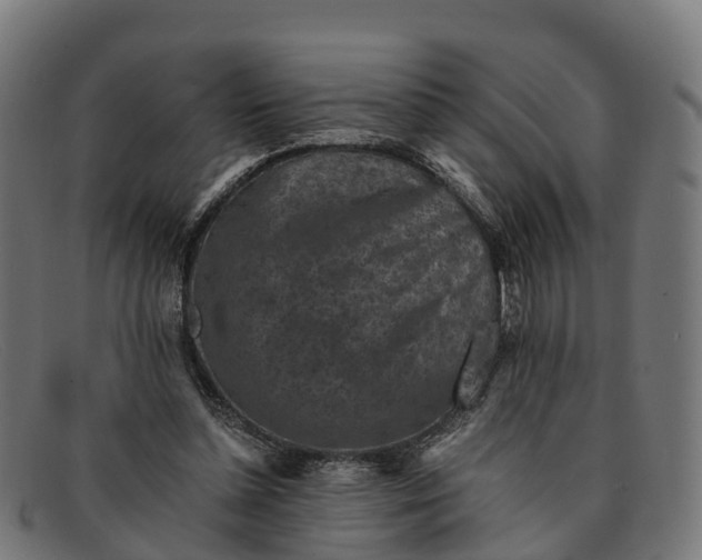 X0000091650348200709131455