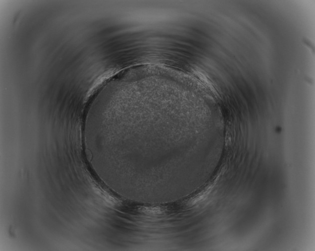 X0000091650349200709131455