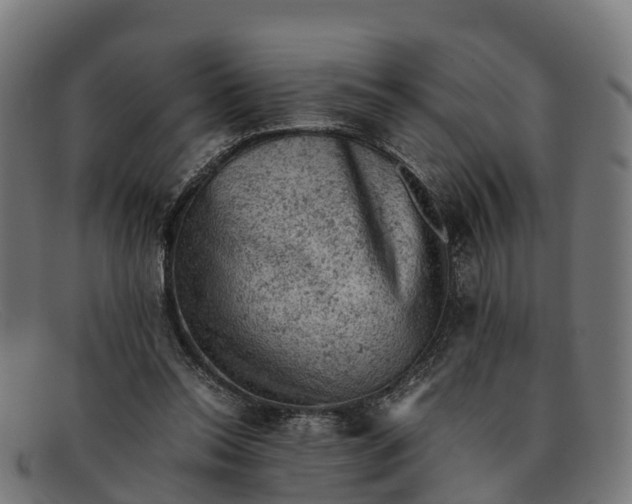 X0000091650350200709131455