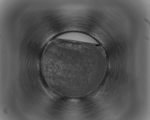 X0000091650352200709131455