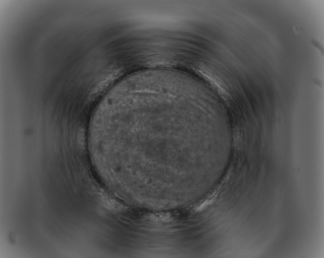 X0000091650353200709131455