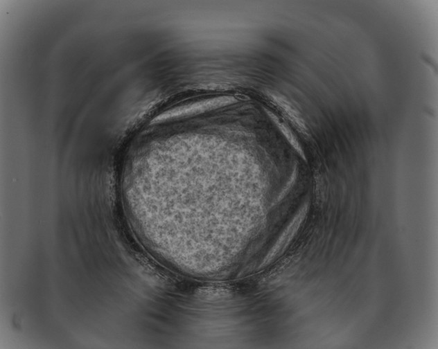 X0000091650354200709131455