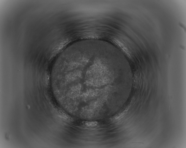 X0000091650355200709131455