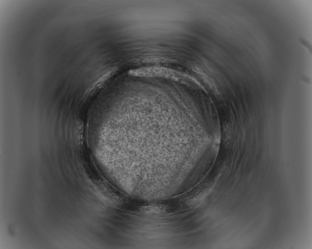 X0000091650356200709131455