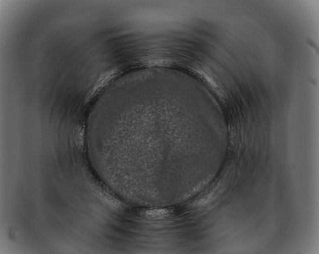 X0000091650357200709131455