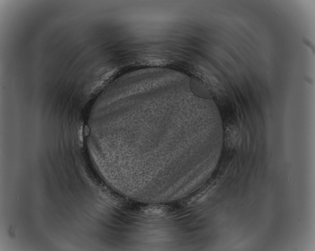 X0000091650358200709131455