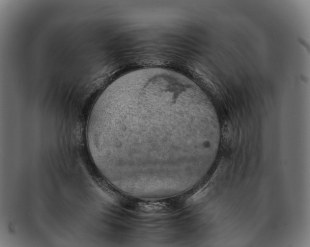 X0000091650359200709131455