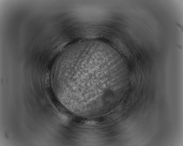 X0000091650360200709131455