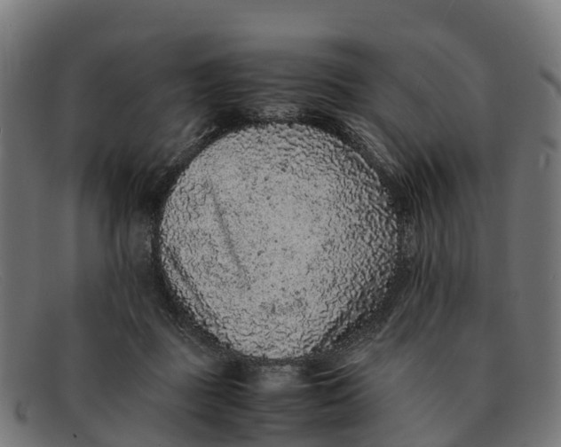 X0000091650363200709131455