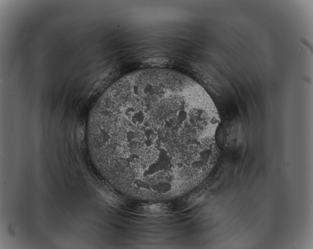 X0000091650365200709131455