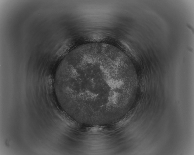 X0000091650366200709131455