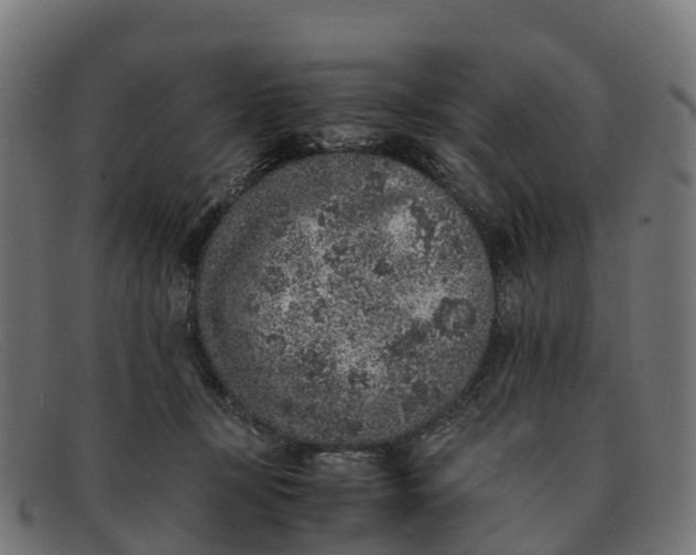 X0000091650367200709131455