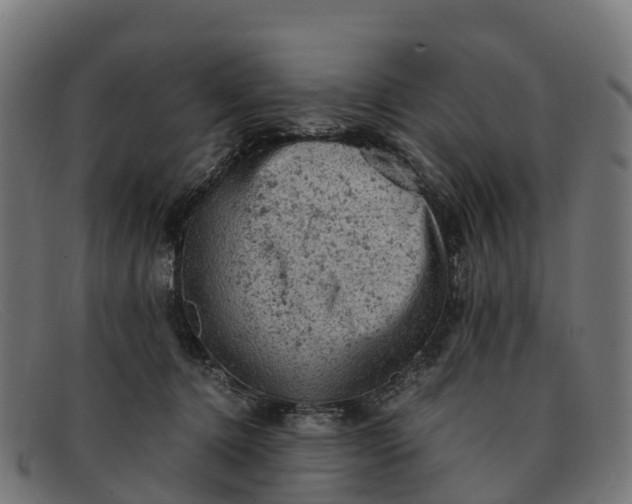 X0000091650368200709131455