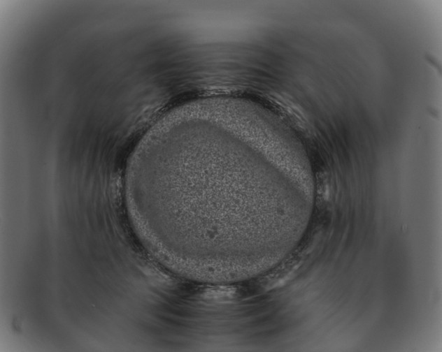 X0000091650369200709131455