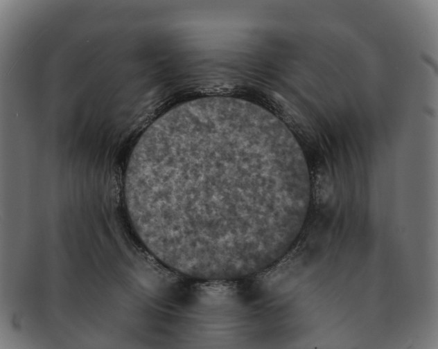 X0000091650370200709131455