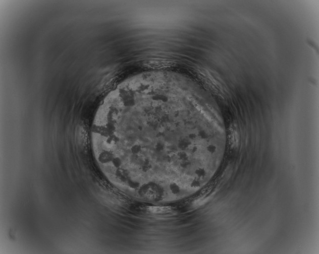 X0000091650371200709131455