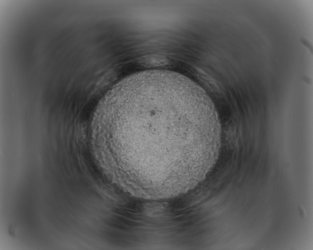 X0000091650373200709131455