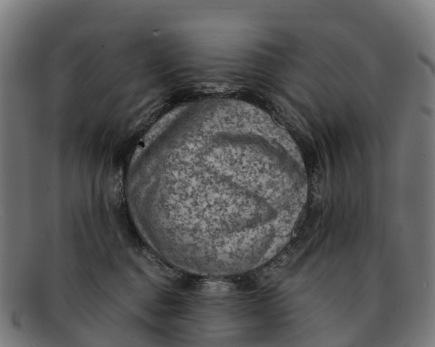 X0000091650376200709131455