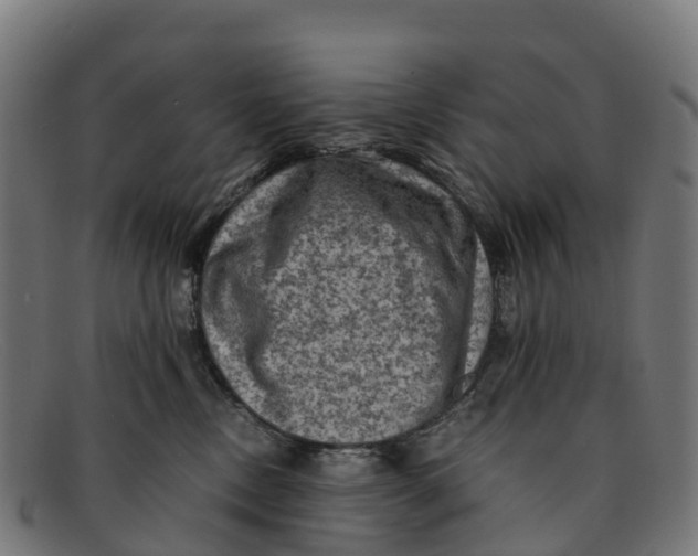 X0000091650378200709131455