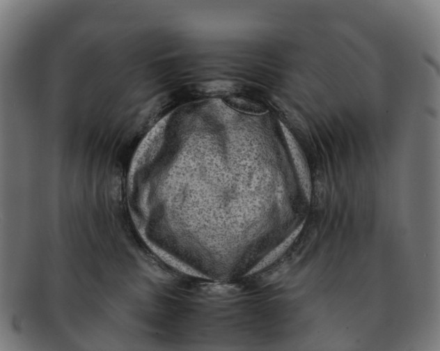 X0000091650379200709131455