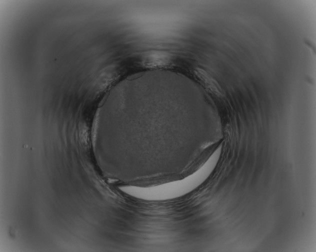 X0000091650380200709131455