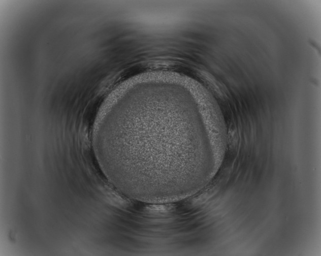 X0000091650381200709131455