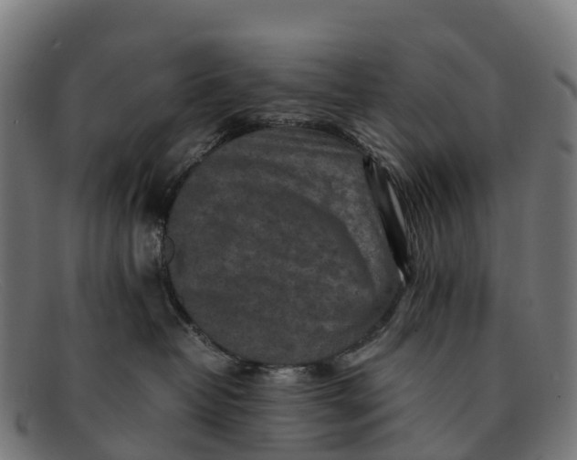 X0000091650382200709131455