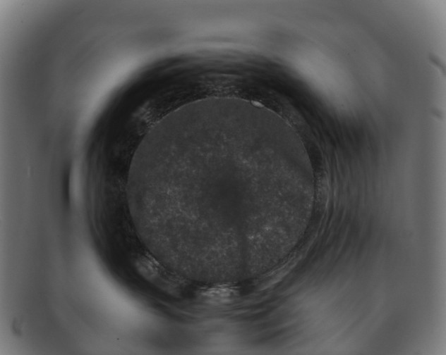 X0000091650383200709131455